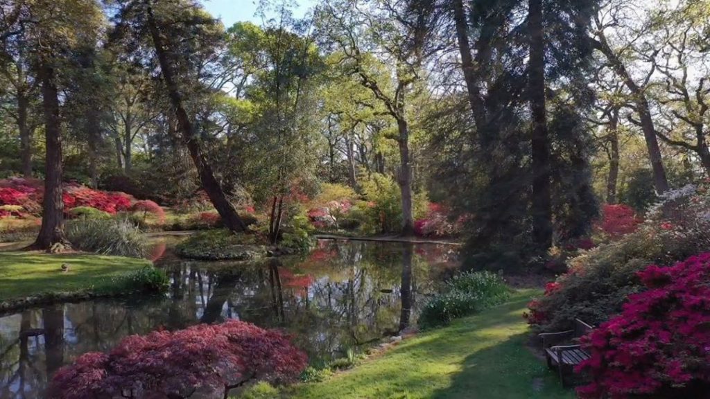 ...and #relax : super excited to have technologically  worked out how to record ...