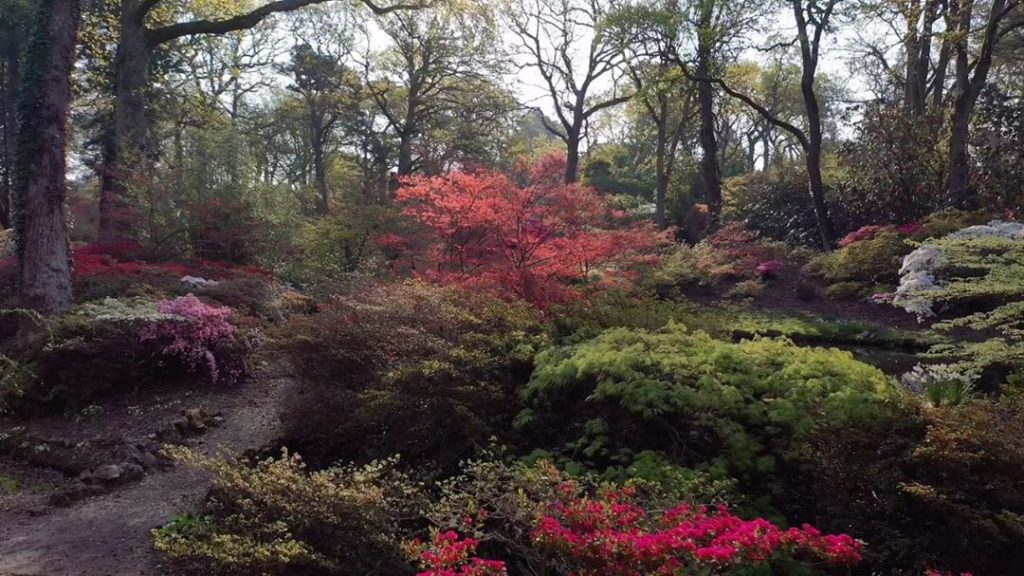 #HappyEaster : today’s #virtualgardentour brings you the #Azalea #Bowl (getting ...