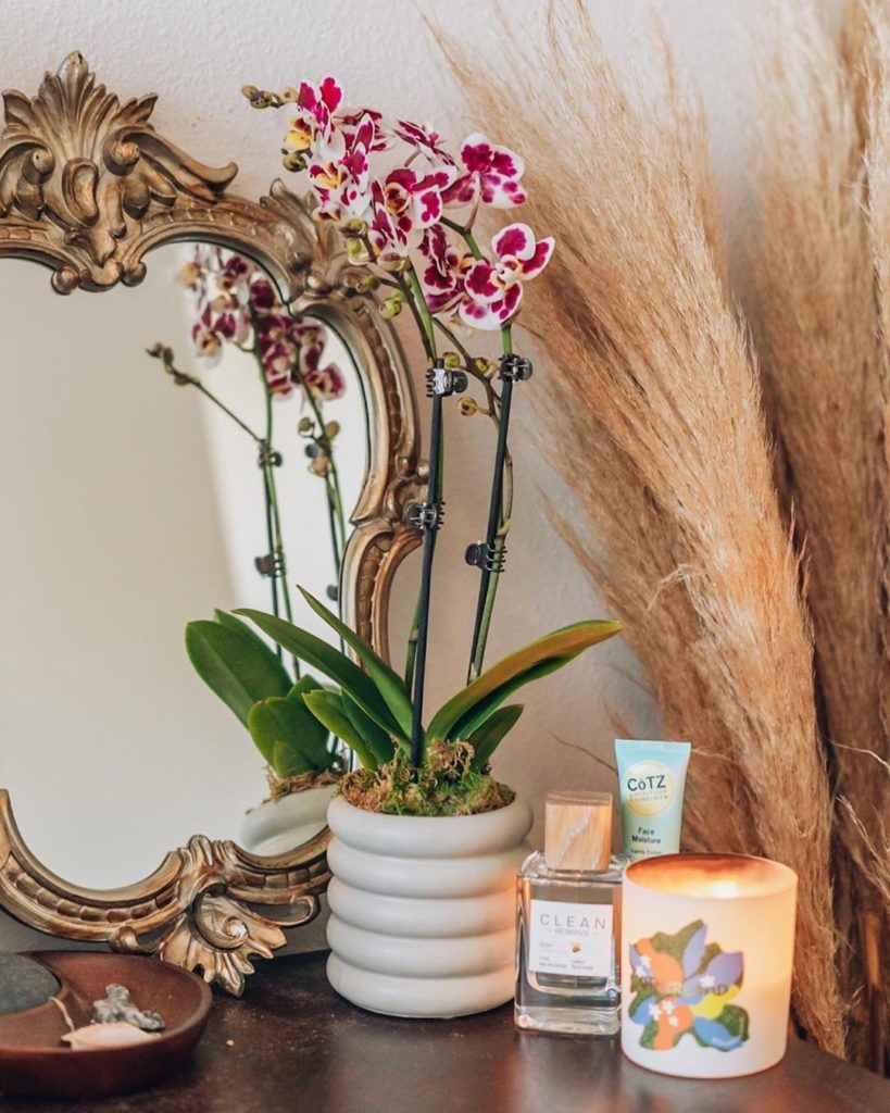 In love with the Spotted Orchid  Photo by #SillSquad ambassador @meganraeoflight...
