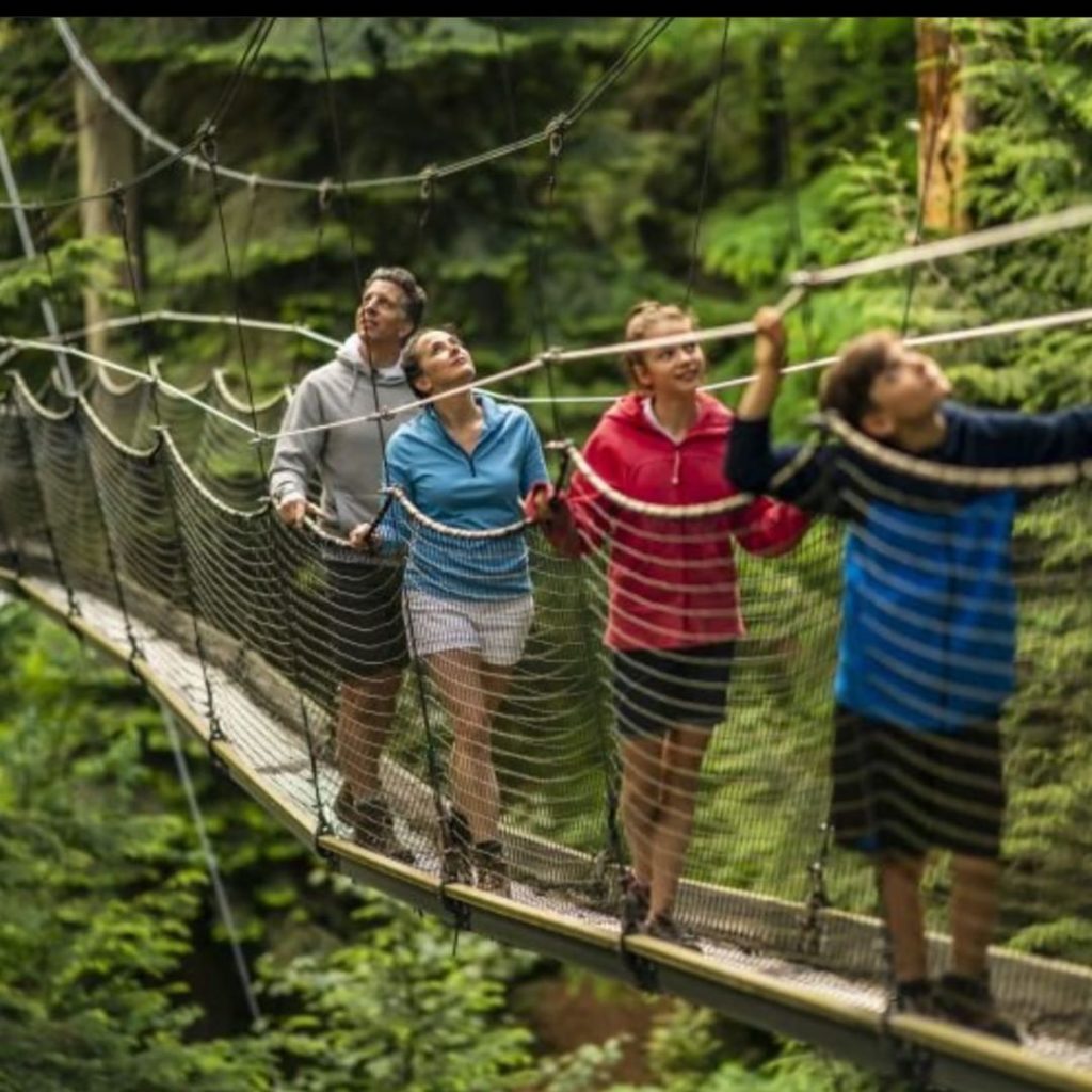 Want to go for a walk in the trees? @ubcgarden has a neat 360* experience you ca...