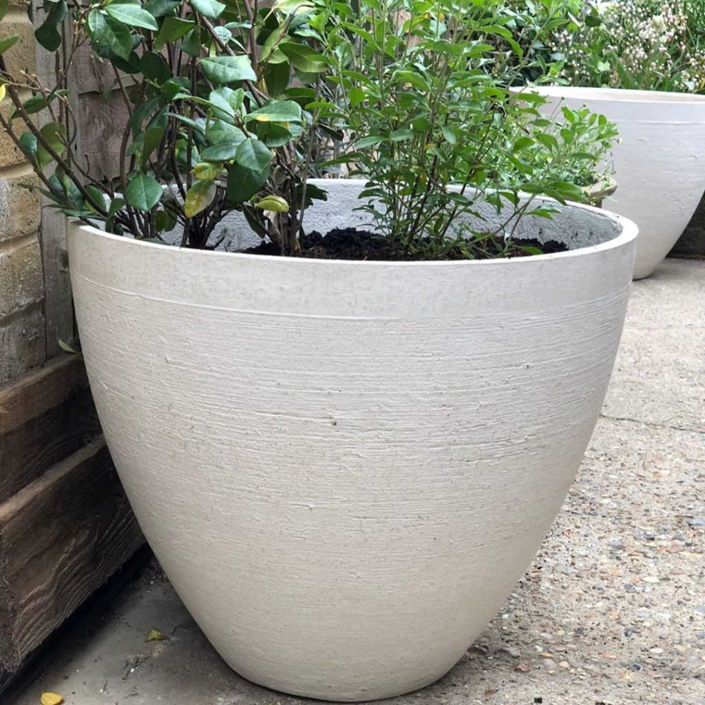 richardmiers: Even in lockdown deliveries are getting through. So excited that @torc_pots sent… Even in lockdown deliveries are getting through. So excited that @torc_pots sent...