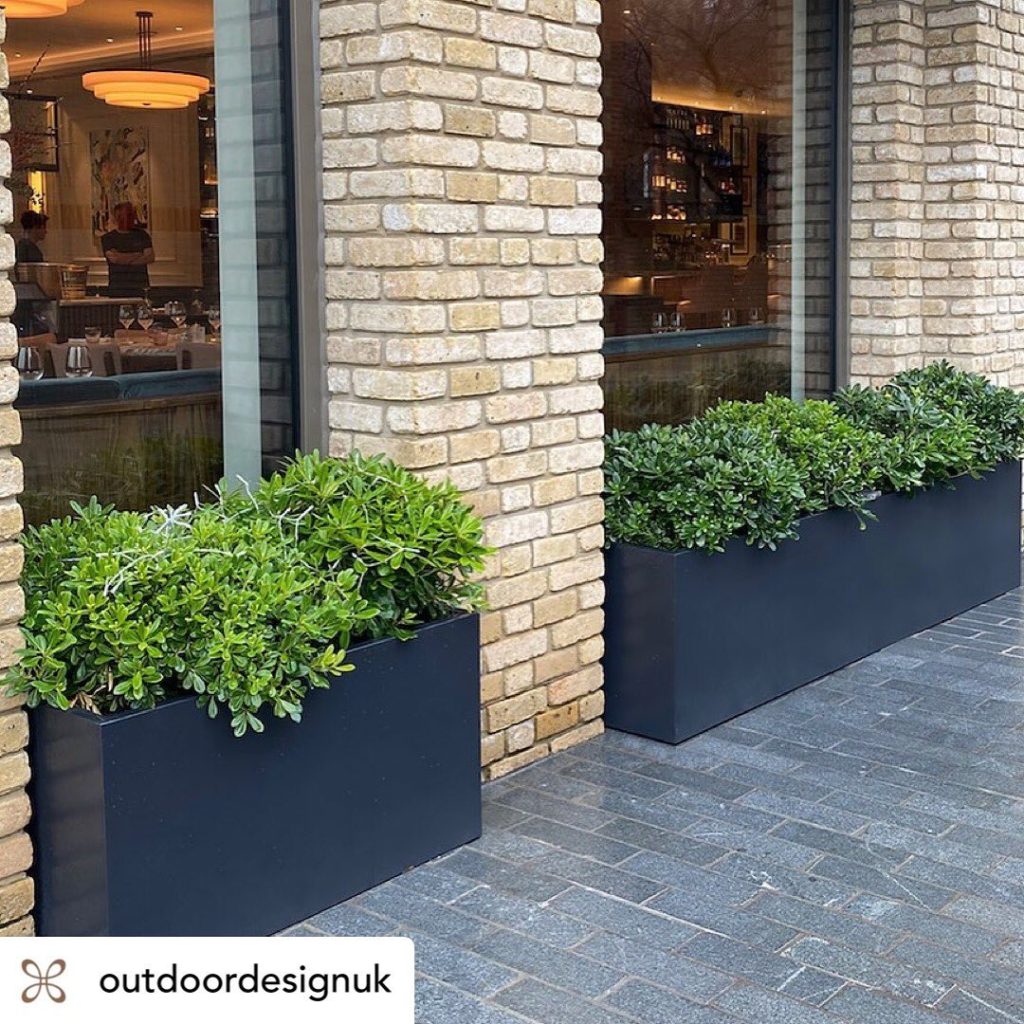 Our planters at @samsriversidew6 looking good reposted from @outdoordesignuk...