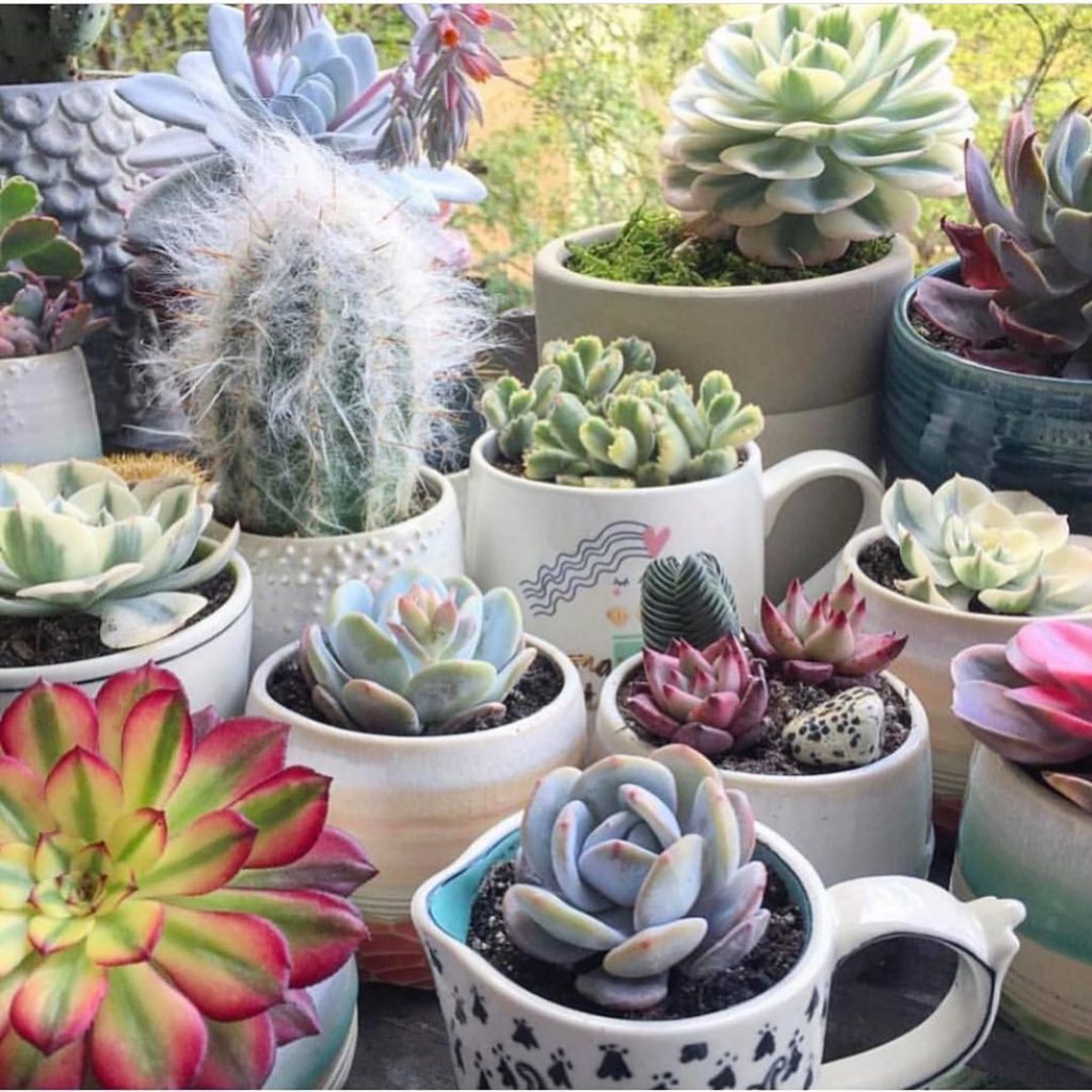 Stay Positive!! Wash your hands and stay home! We’re adding new stock EVERYDAY ...