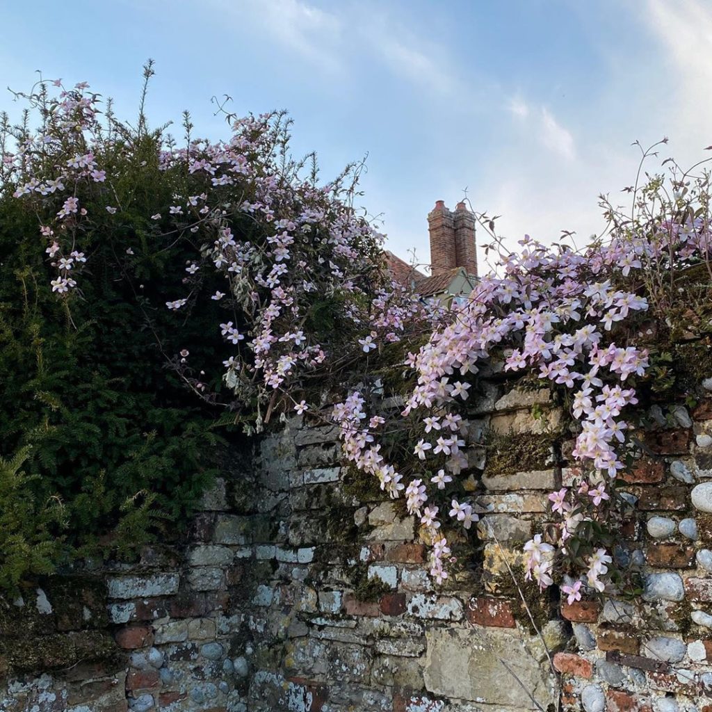 Crumbling but who cares #charmefou #oldwalls #brickandflint #clematismontana #sc...