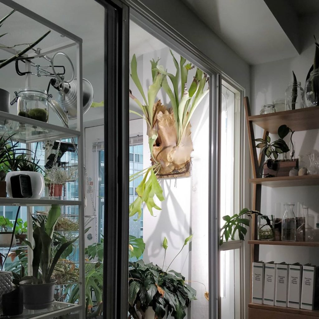 houseplantjournal: Framework: a basic structure underlying a system, concept, or text.
Framework o… Framework: a basic structure underlying a system, concept, or text.
Framework o...