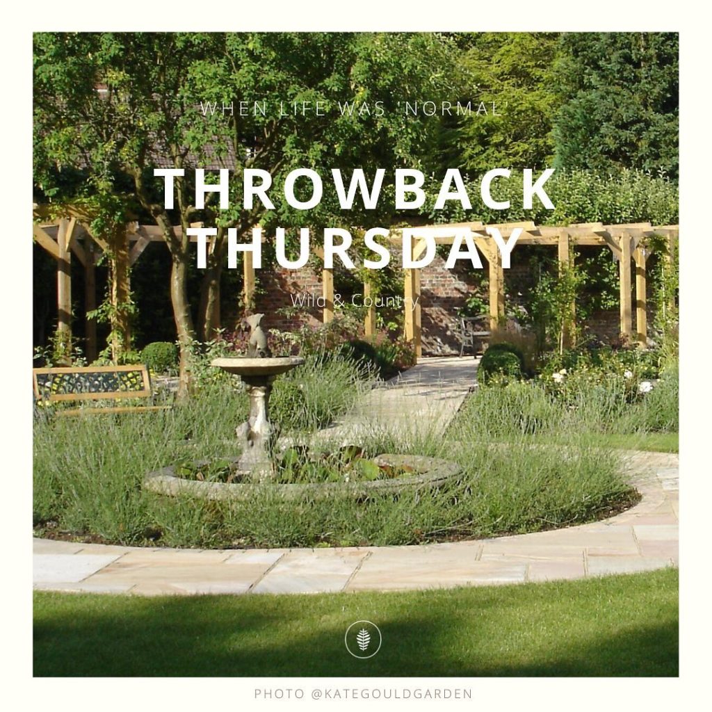 Well, it’s that time of the week again!  Time rolls on in these weird times. Thi...