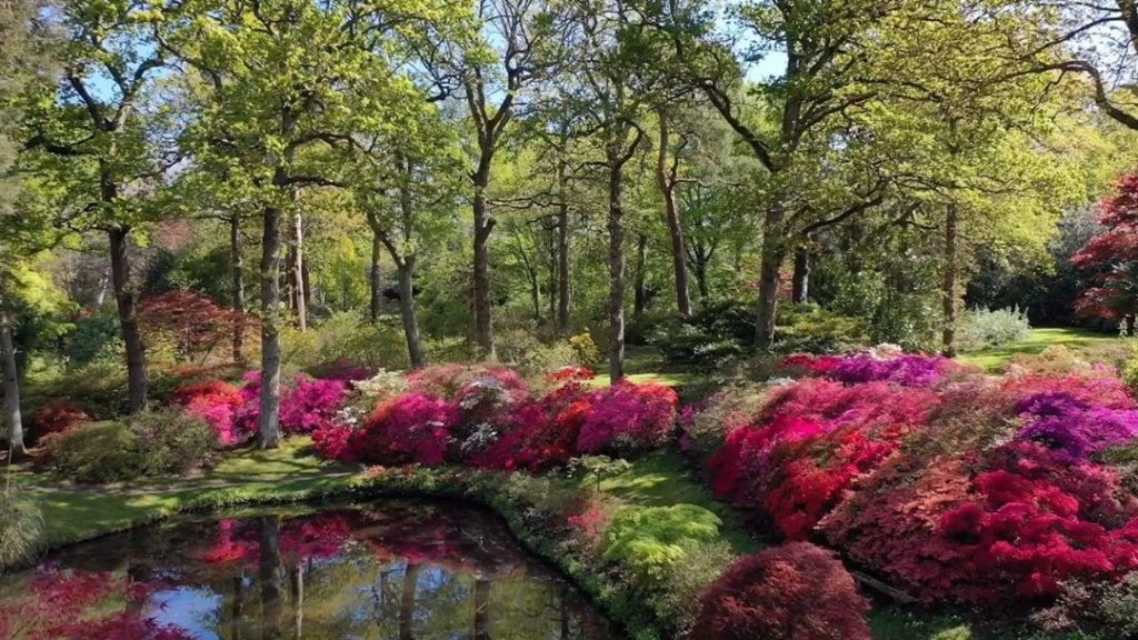 No words needed......