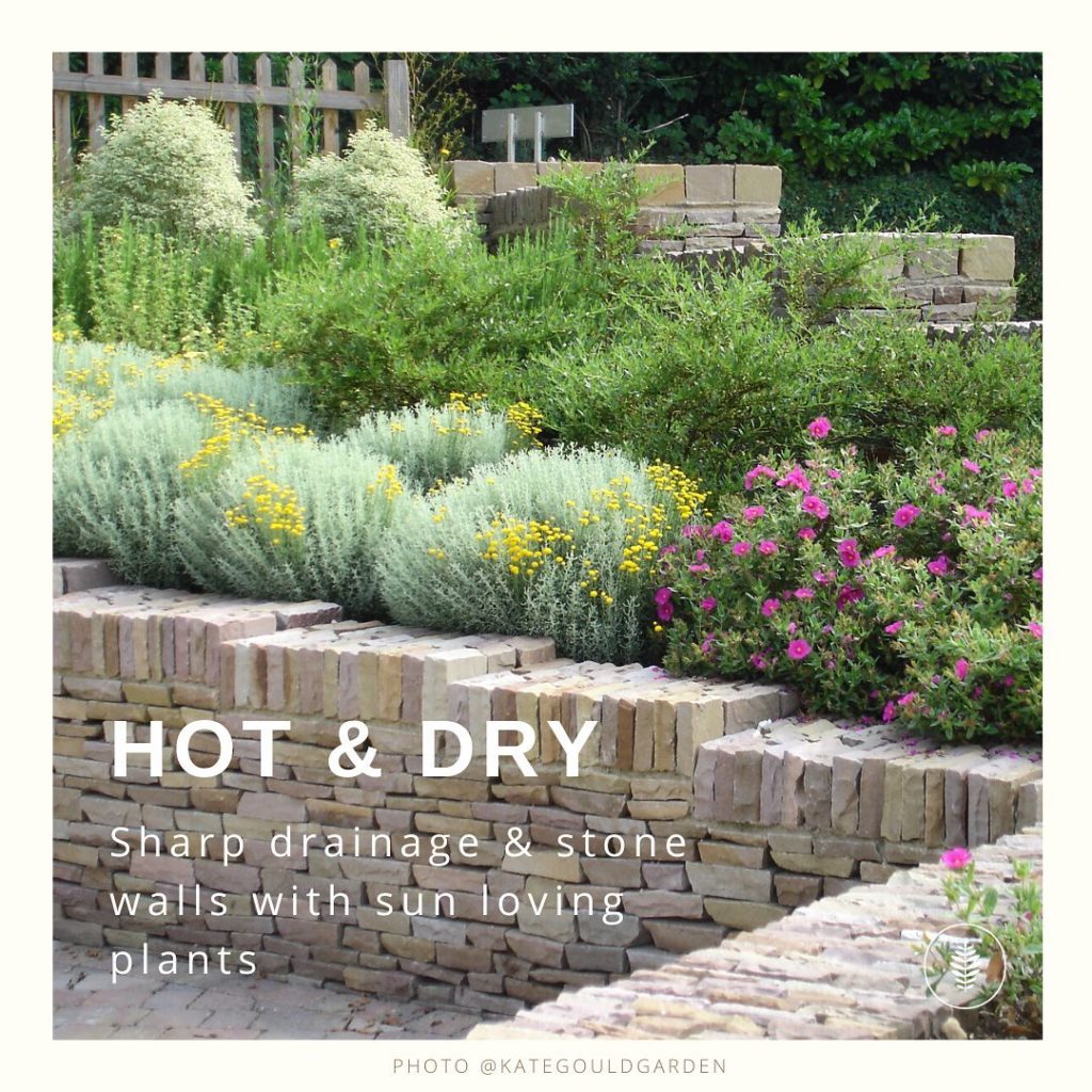 kategouldgardens: Sums up the weather at the moment nicely. Hot and dry. Who would’ve thought that… Sums up the weather at the moment nicely. Hot and dry. Who would’ve thought that...