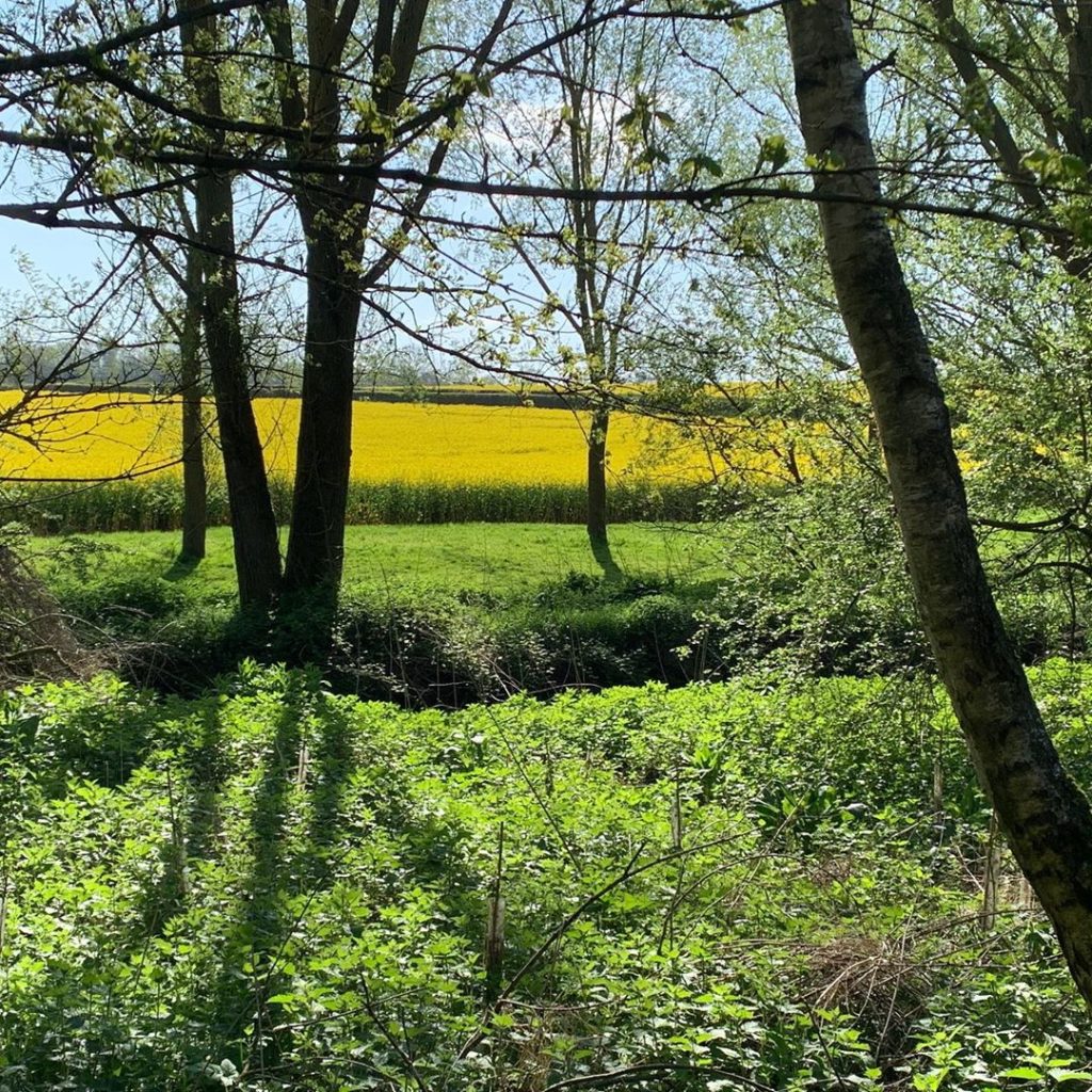 Yellow, bright shining green & blue... perfect spring colours ..
.
.
#spring #wo...