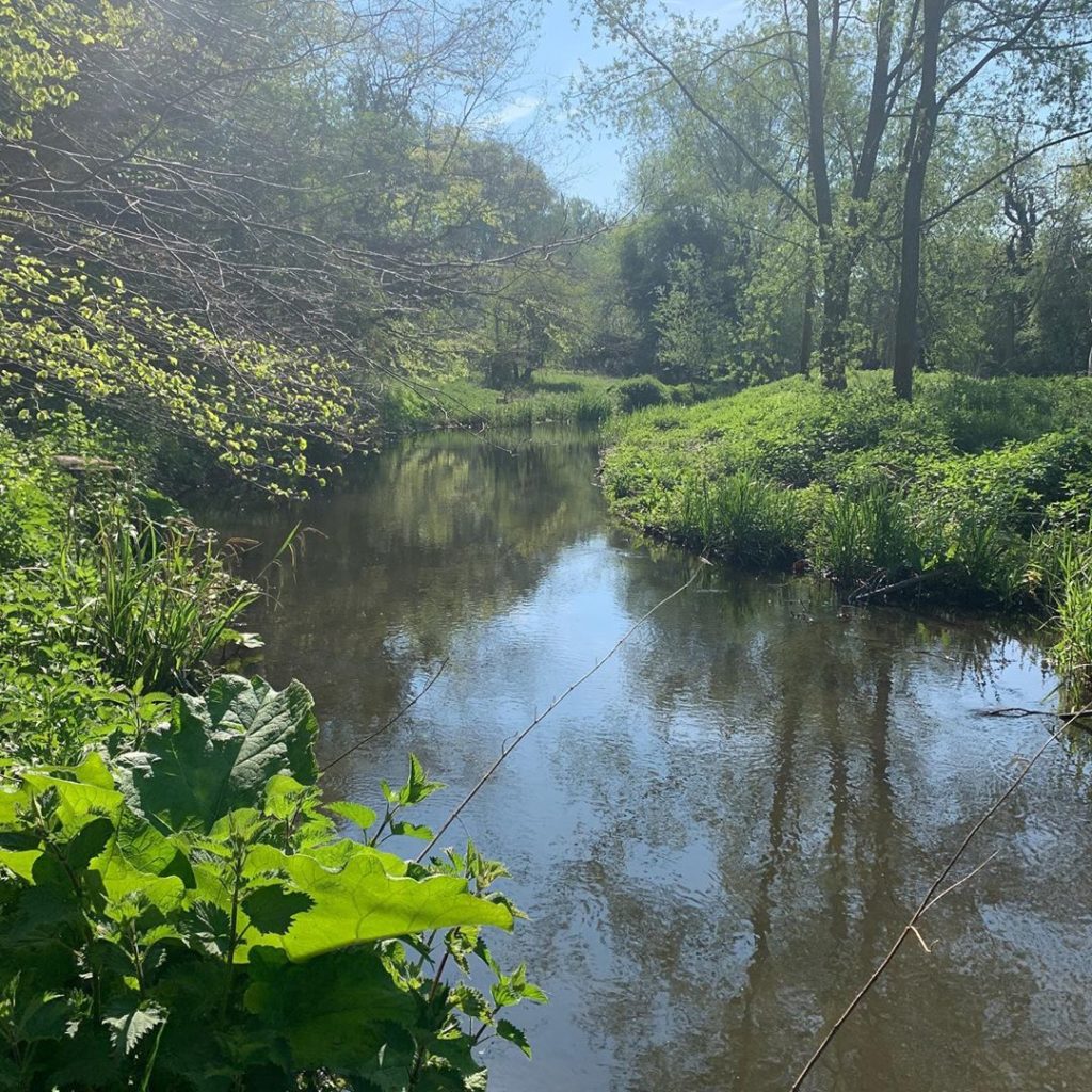 Woodland walks .
.
.
#woodland #bluebells #ford #cowparsley #nature #countryside...
