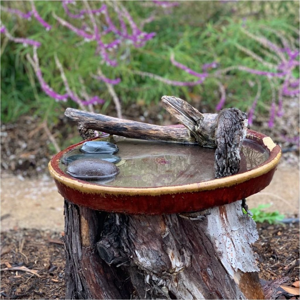 Happy Earth Day! 
.
How are you celebrating?
.
Here's a few tips to create a gar...