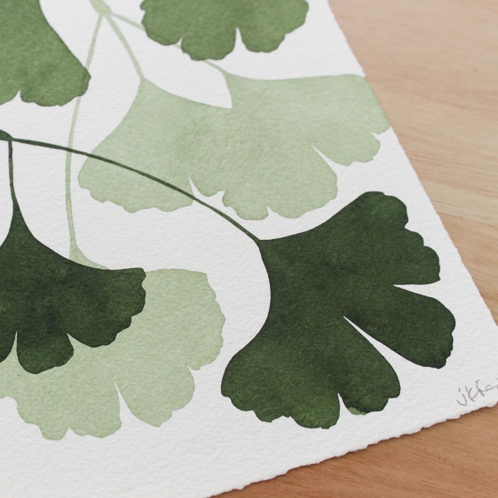 Ginkgo leaves in their summer hues.
Finishing up photographing my art for the co...