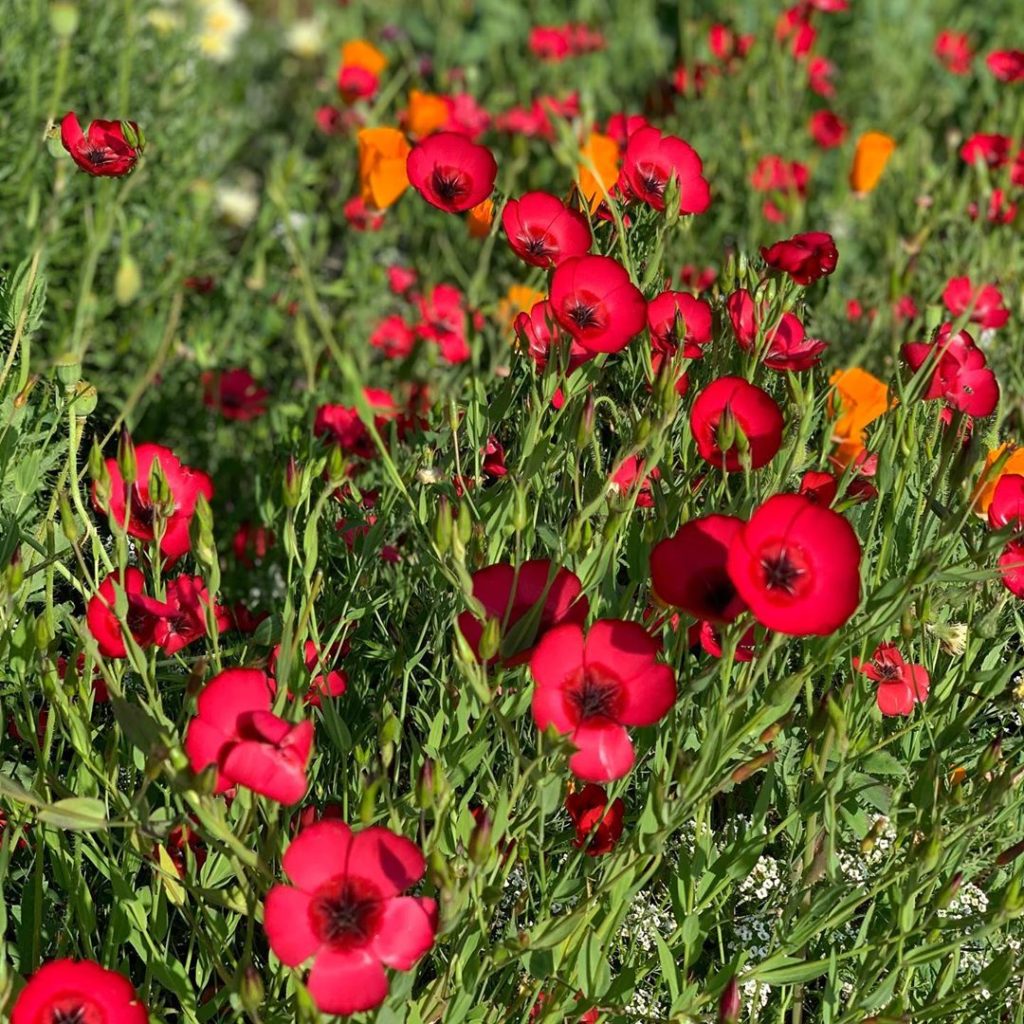 Where on Earth are you??!
Share where you are and if you’re doing anything for #...