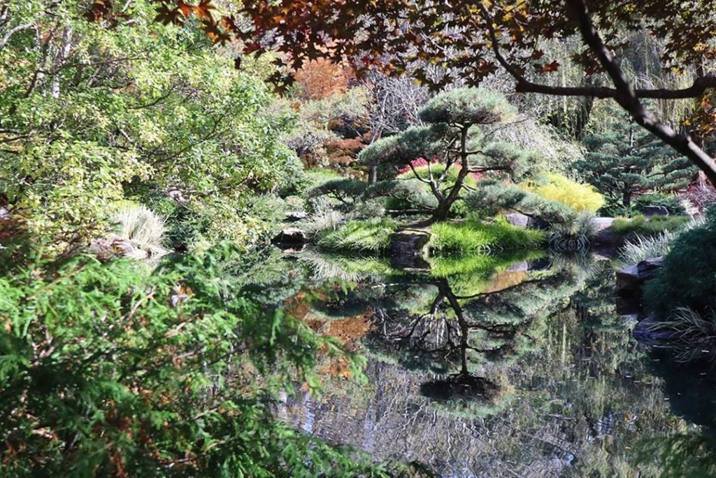 gardendesignmag: At over 200 acres in size, @gibbsgardens is one of the nation’s largest resident… At over 200 acres in size, @gibbsgardens is one of the nation’s largest resident...