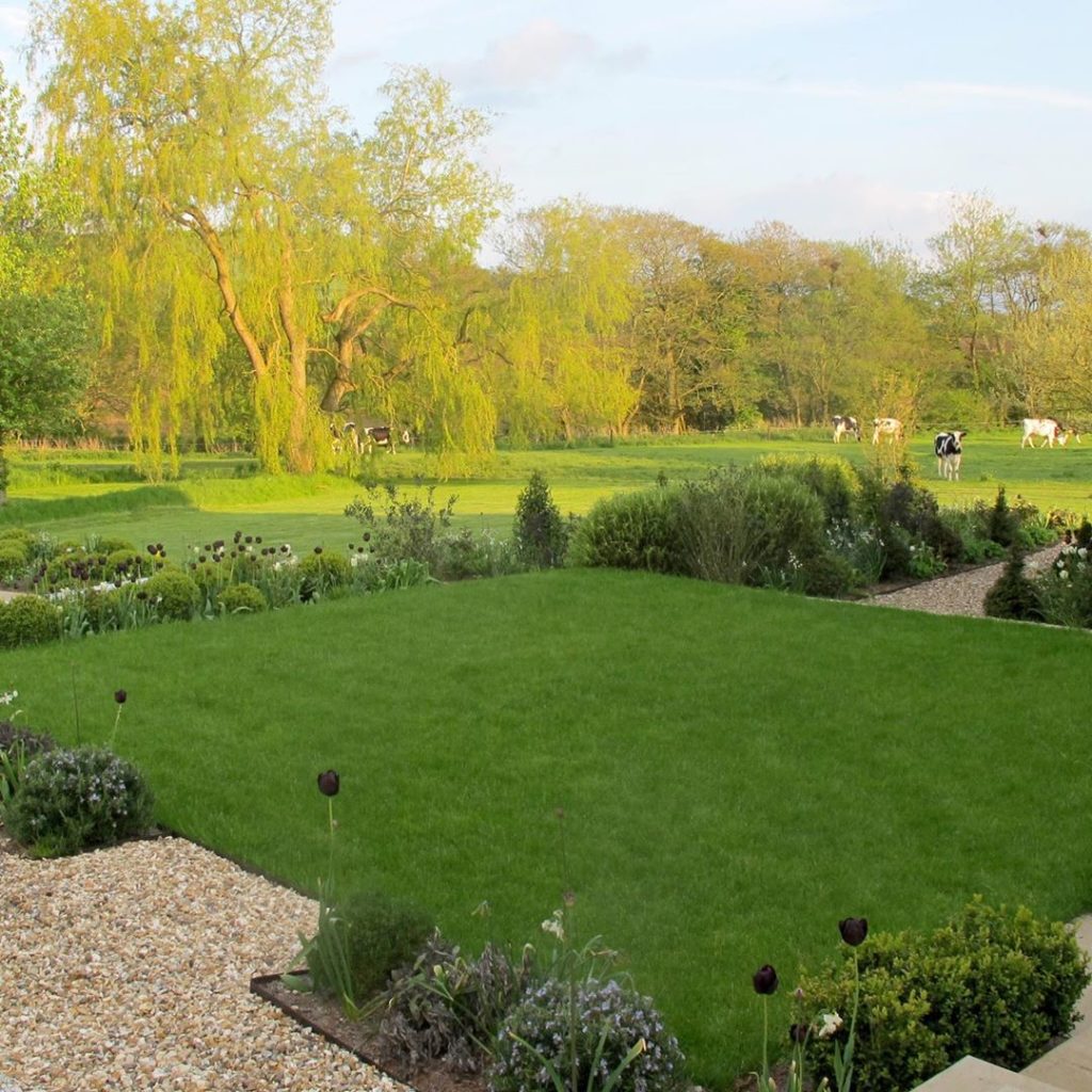 charlotterowegardens: Always love to see the herd of cows in this large #garden we designed in #somers… Always love to see the herd of cows in this large #garden we designed in #somers...