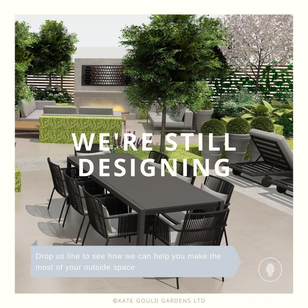 kategouldgardens: So, it is just a little bit weird out there right now. Quite possibly the unders… So, it is just a little bit weird out there right now. Quite possibly the unders...