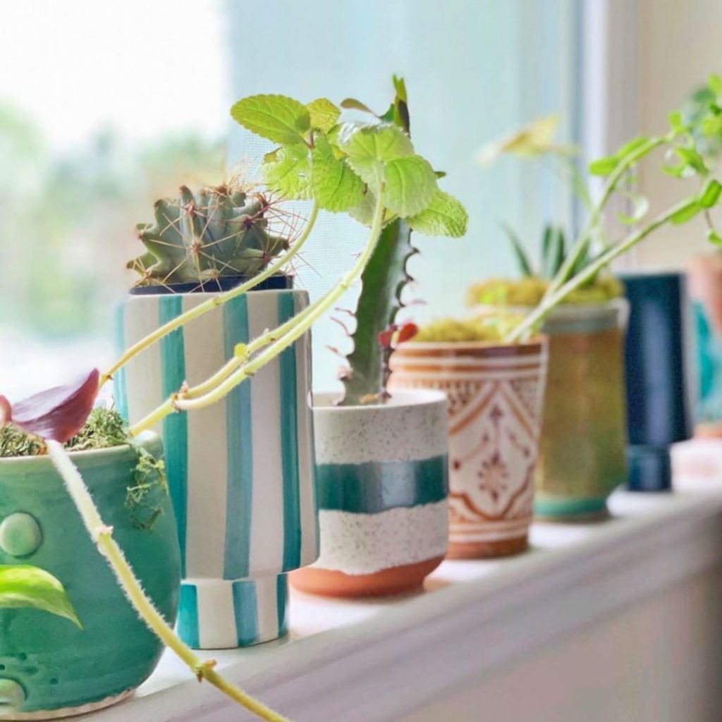 @kellyreneg from #teamjungalow giving her window sill a jungalicious refresh! We...