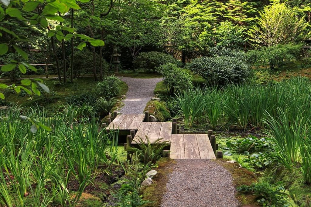 Want to go on an adventure together?
.
@garden_therapy takes us to three of her ...