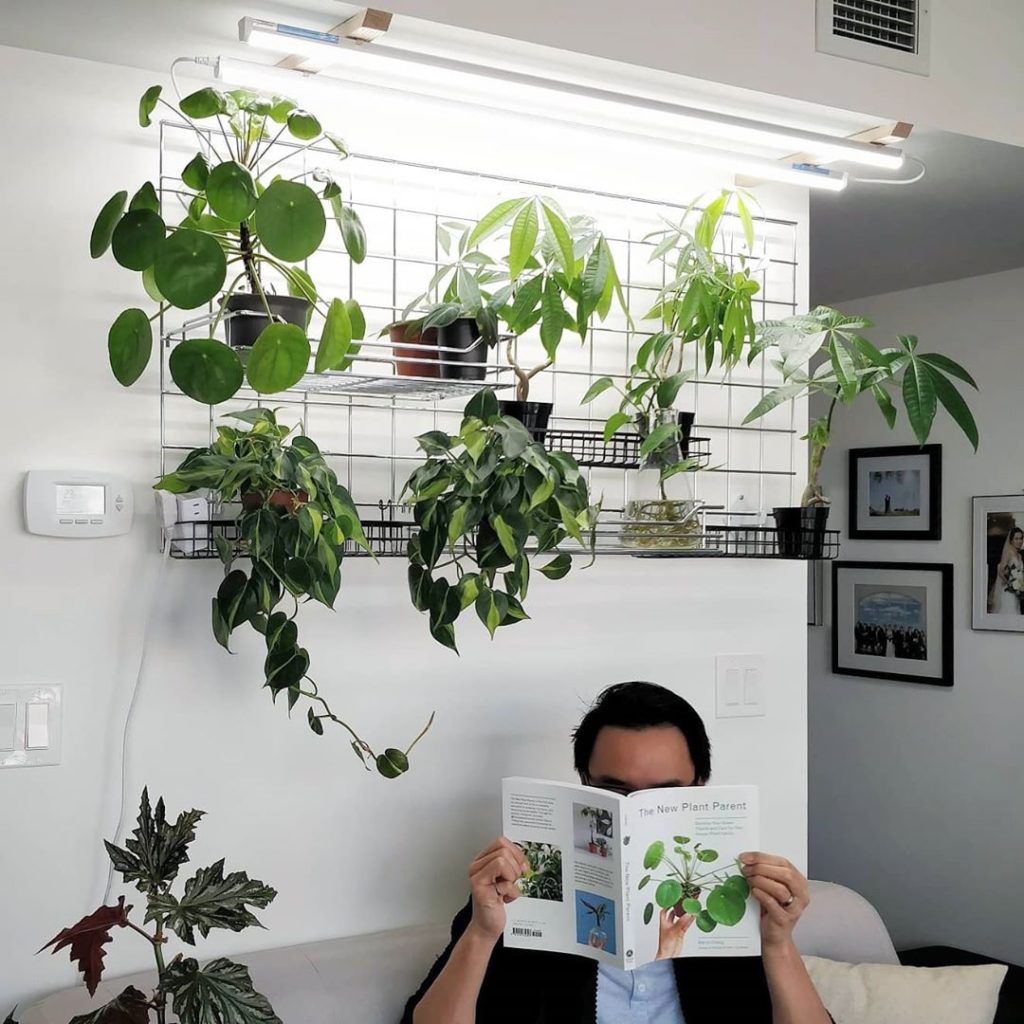 #tbt a while back, I did a stories Q&A about light - 2️⃣ go to my ...