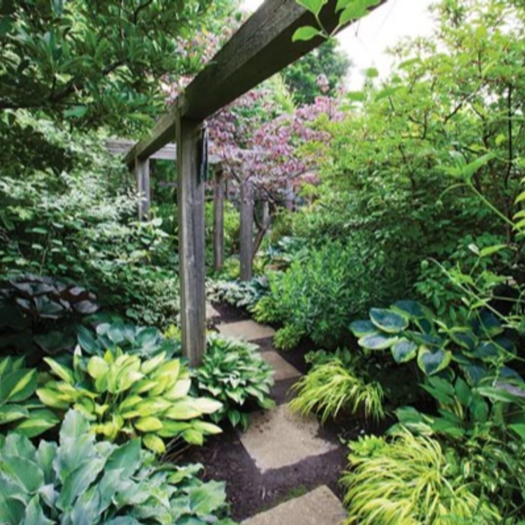 gardendesignmag: Is your garden more in the shade or the sun? 
.
This shaded garden doesn’t miss … Is your garden more in the shade or the sun? 
.
This shaded garden doesn't miss ...