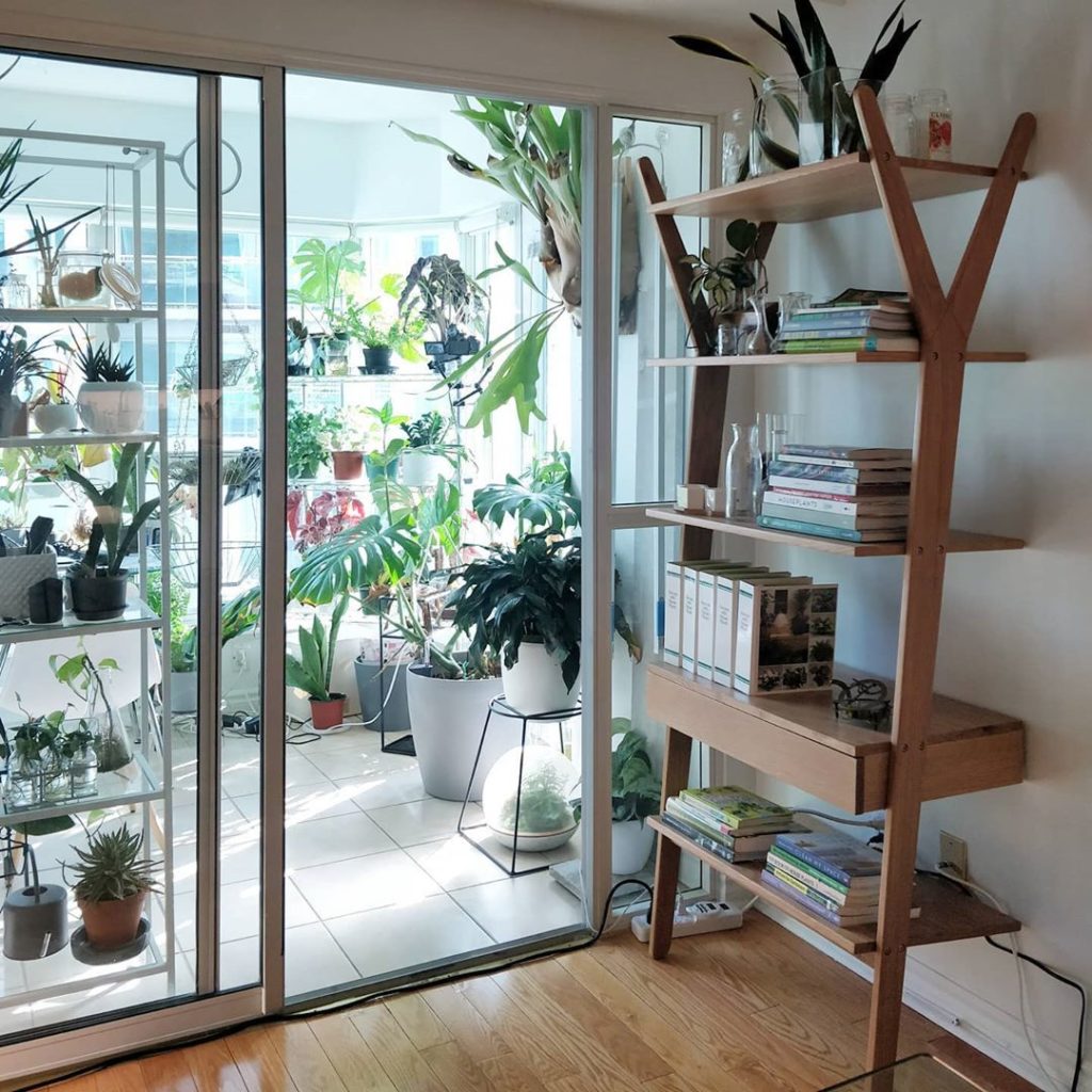 houseplantjournal: I keep some of my favourite plant books on the #LignumShelf just outside of the … I keep some of my favourite plant books on the #LignumShelf just outside of the ...