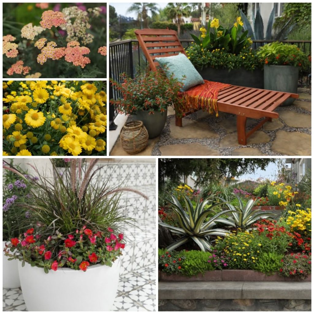 Love gardening but don't want to use a lot of water?
.
Good news, you don't need...