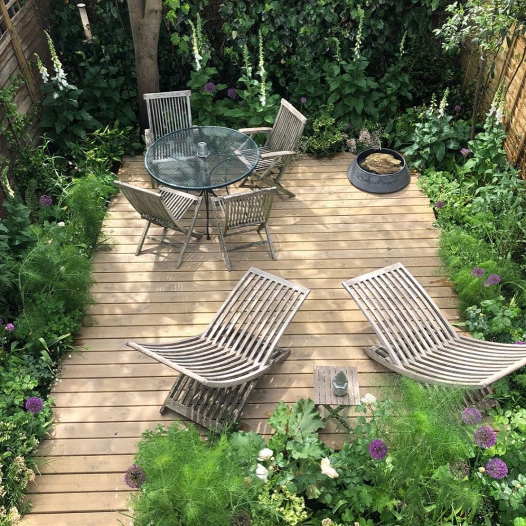 My garden at four months old. Where’s Boris (the gnome)?! Amazing how everything...