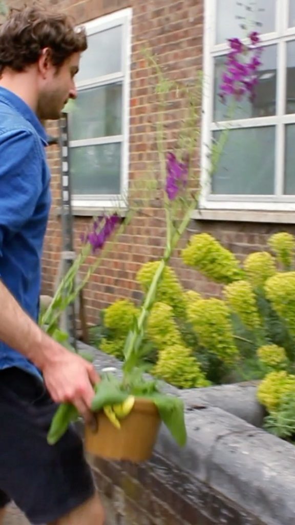 In this Virtual Chelsea Flower Show video article garden designer Tom Massey dem...