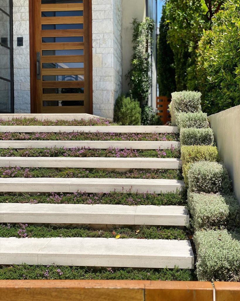 welcome home.
.
.
#gardenview #gardensteps #gardenlovers #gardenlover #gardenlo...