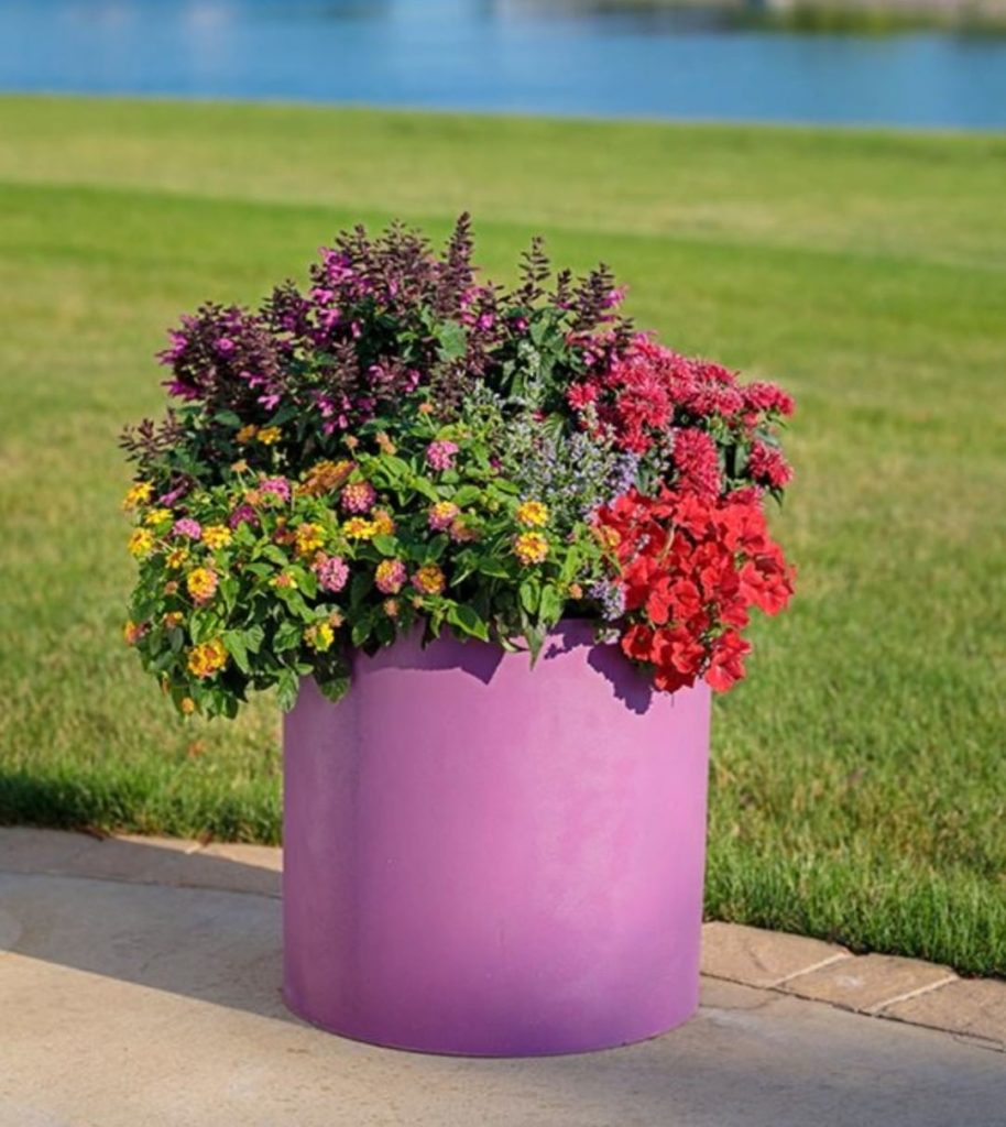 Pretty with a purpose!
.
We often get asked what to plant to attract pollinators...