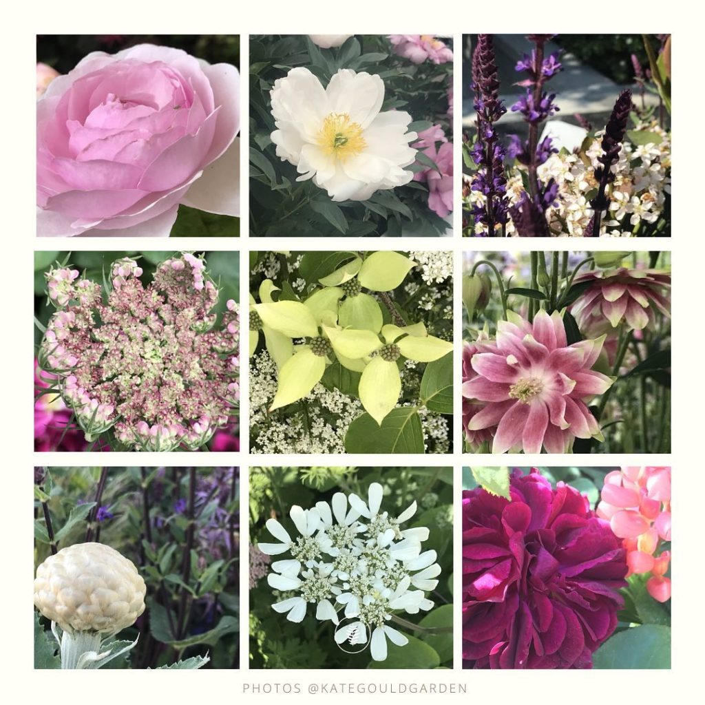 kategouldgardens: It was a tricky year. The Lupins did really well (a much used plant that year on… It was a tricky year. The Lupins did really well (a much used plant that year on...