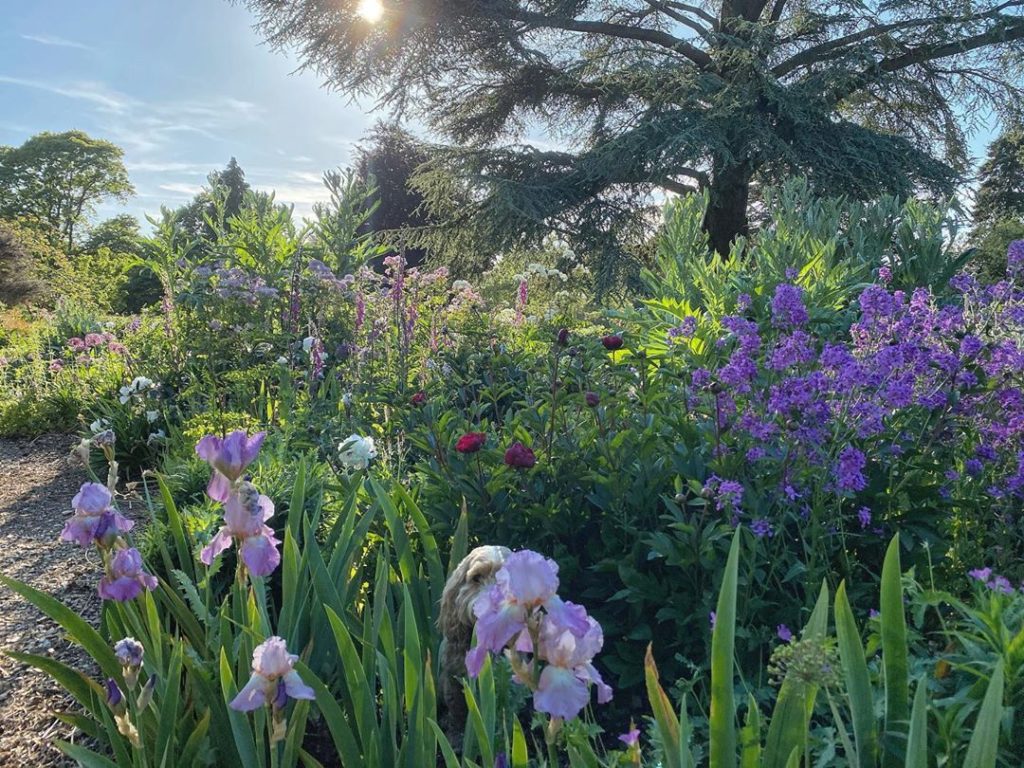 #WheresWillow #Wednesday ... #enjoy...