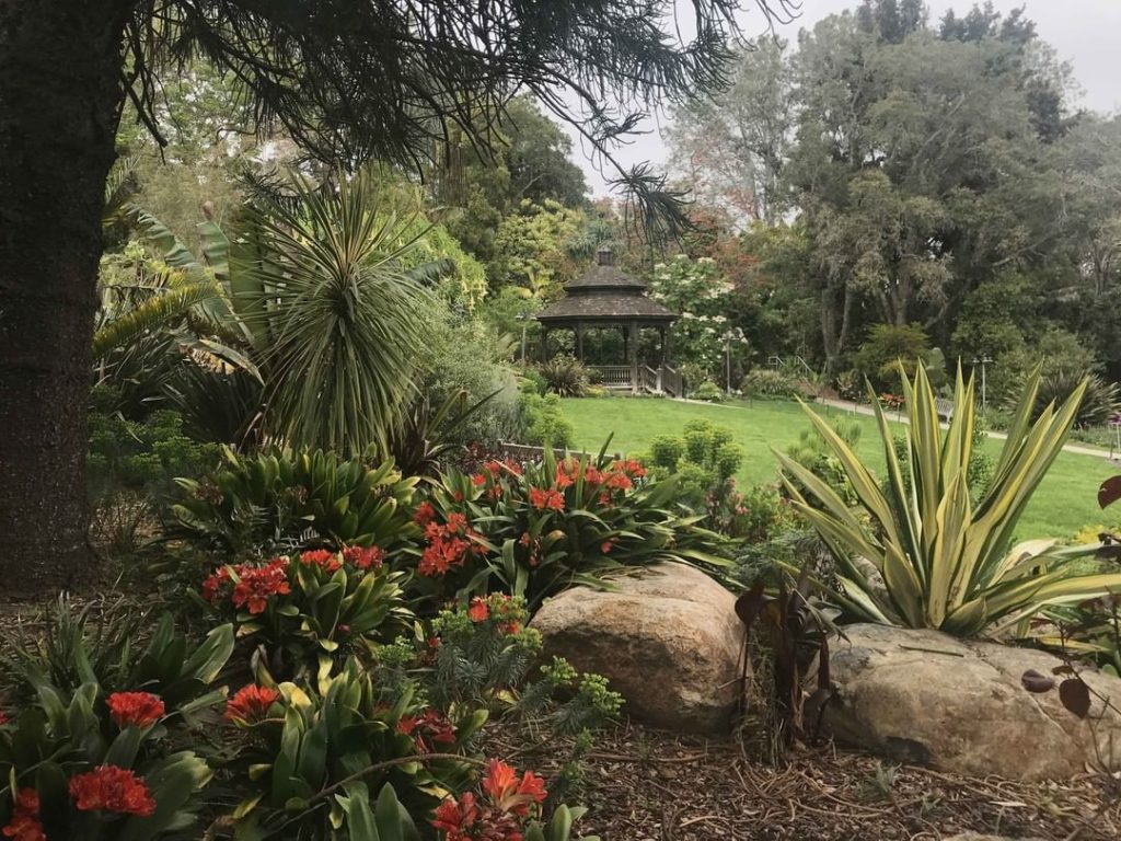 Here's a look at the Gazebo Lawn right now at San Diego Botanic Garden 
.
Excite...