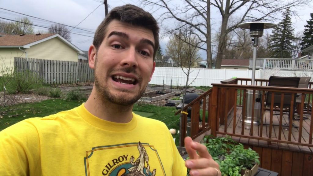 How The Pandemic Has Changed The Greenhouse Industry
