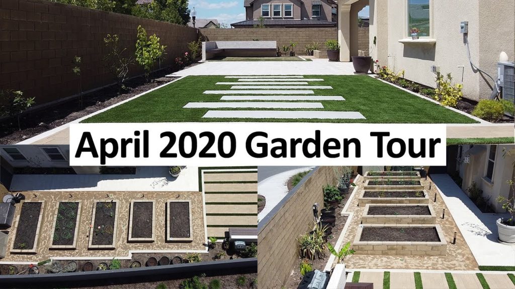 NEW California Garden April 2020 Garden Tour - Gardening Tips, Harvests  & More