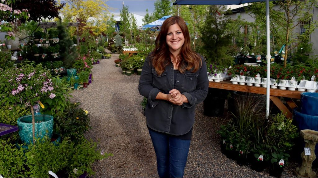 A Tour of My Parent’s Garden Center! 🌿🙌💚// Garden Answer