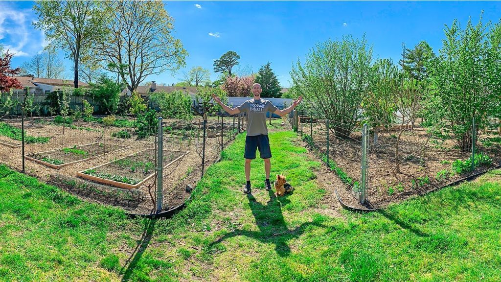 James Prigioni: 8 Years Later, I Turned my BACKYARD into a PERMACULTURE GARDEN 8 Years Later, I Turned my BACKYARD into a PERMACULTURE GARDEN