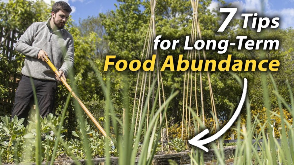 Improve Your Vegetable Garden's Food Abundance | Ideas and Skills That Make a Difference