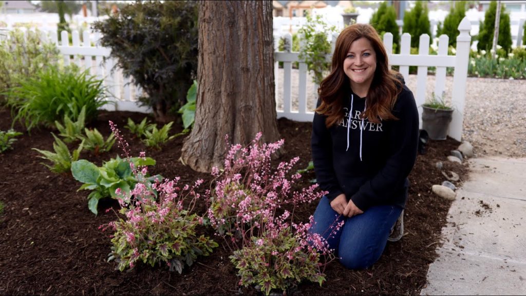 Holy Heucherella Blooms!!! 😳🤩🙌// Garden Answer