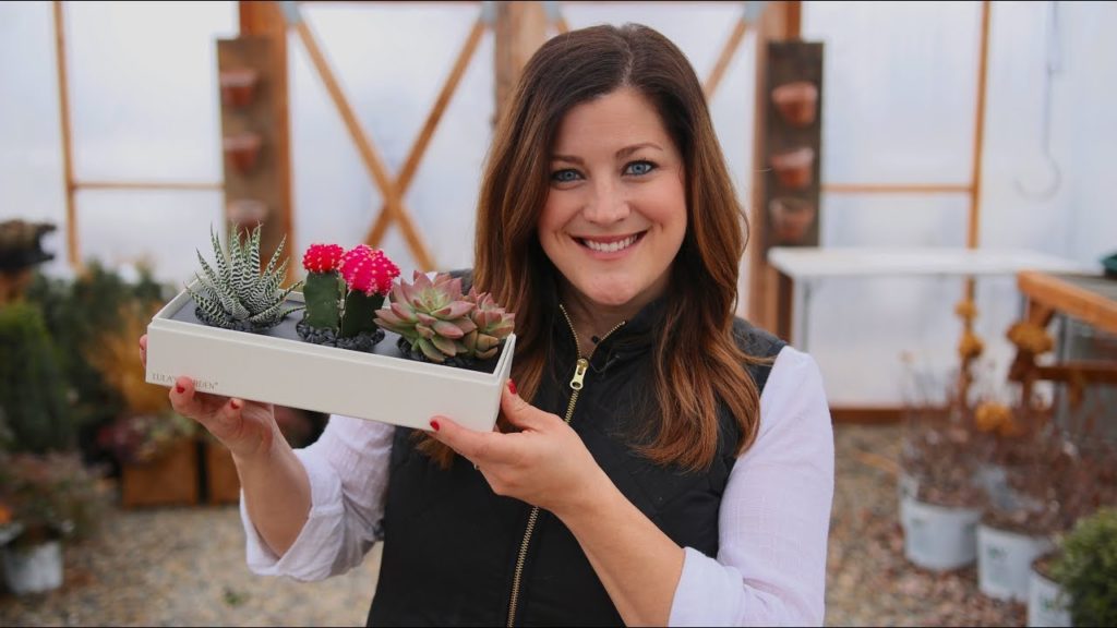 Succulent Unboxing & Valentine’s Giveaway! 🌵📦😊// Garden Answer