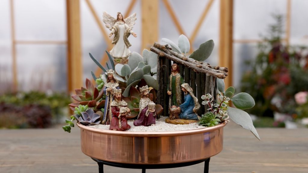 Garden Answer: Succulent Nativity // Garden Answer Succulent Nativity // Garden Answer