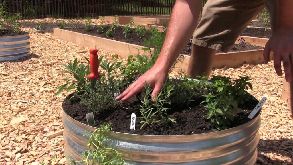 The Fire Ring Raised Bed Hoopla