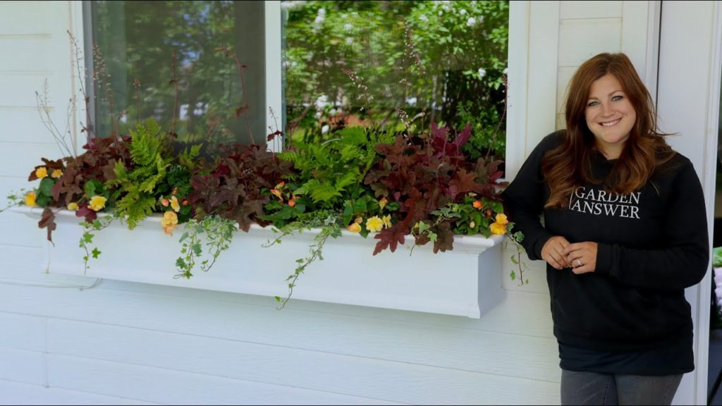 Garden Answer: Planting a Shaded Windowbox! 🌿🥰// Garden Answer Planting a Shaded Windowbox! 🌿🥰// Garden Answer