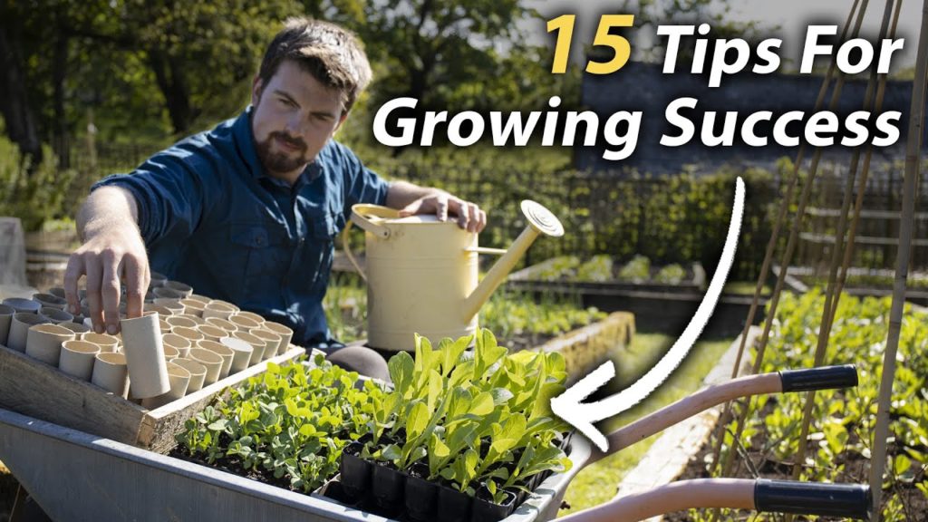 Huw Richards: 15 Vegetable Gardening Tips EVERY Beginner Should Know | Invaluable Grow Your Own Tips 15 Vegetable Gardening Tips EVERY Beginner Should Know | Invaluable Grow Your Own Tips