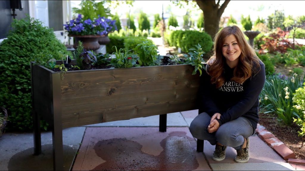 Raised Bed Cocktail Garden! 🌿🍸😍// Garden Answer