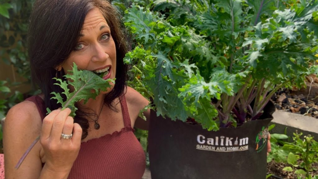 🌱 LIVE: 5 Tips to Grow LOTS of Kale and Heat Tolerant Greens All Summer Long 🌞 (REPLAY)