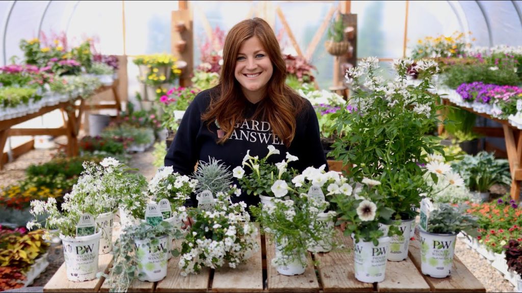 Garden Answer: White Blooming Annuals for Our Moon Garden! 🌿🌘✨// Garden Answer White Blooming Annuals for Our Moon Garden! 🌿🌘✨// Garden Answer