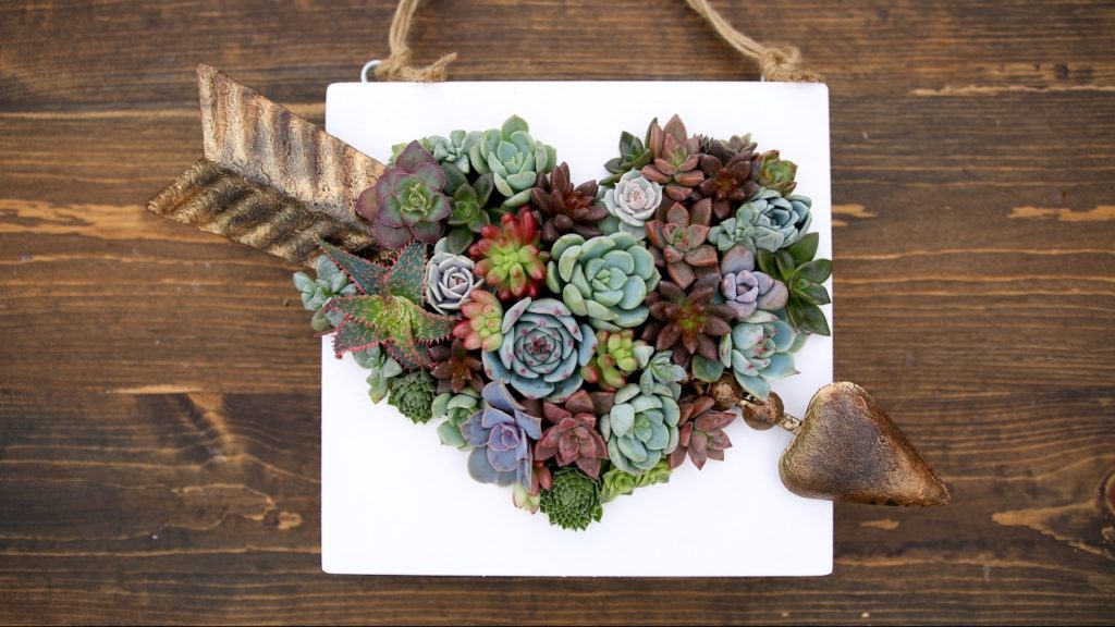 Garden Answer: Heart Shaped Succulent Arrangement // Garden Answer Heart Shaped Succulent Arrangement // Garden Answer