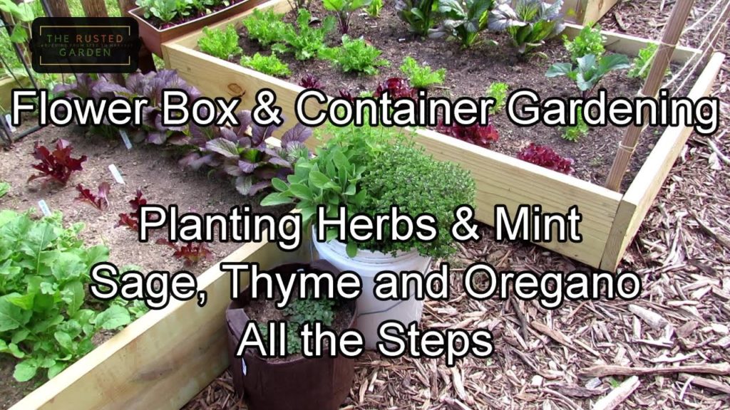 Gary Pilarchik: Complete Flower Box & Container Gardening E-2: Planting Herbs & Mint – All the Steps, Growth Update Complete Flower Box & Container Gardening E-2: Planting Herbs & Mint - All the Steps, Growth Update