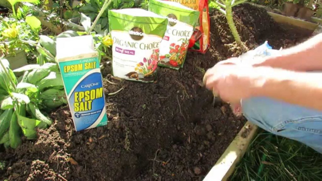 Gary Pilarchik: Fall Gardening: Planting Garlic & Elephant Garlic with Organic Fertilizers – TRG 2014 Fall Gardening: Planting Garlic & Elephant Garlic with Organic Fertilizers - TRG 2014